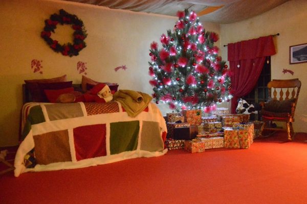 sassovivo natale 1