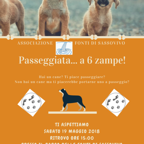 passeggiata a 6 zampe alle Fonti di Sassovivo