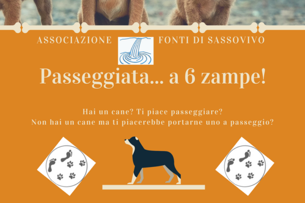 passeggiata a 6 zampe alle Fonti di Sassovivo